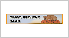 Dingo Projekt Saar