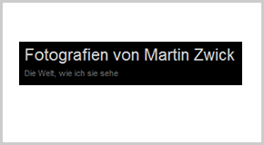 Martin Zwick